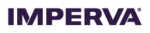 API Security logo